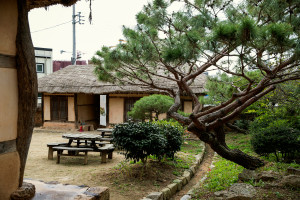 Pine tree and servants’ house beside the guesthouse