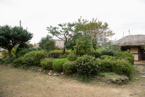 The garden in front of the main house 