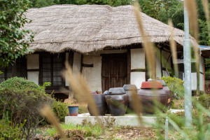 The main house and jar platform