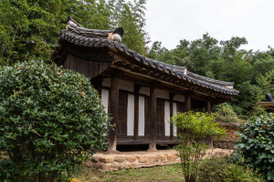 The shrine (Left, the holly tree)