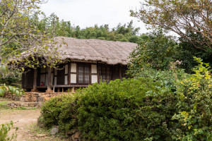 The main house and garden (Ginger tree on the left, Royal azalea on the right)