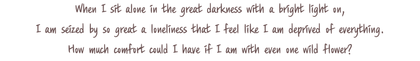 - When I sit alone in the great darkness with a bright light on, I am seized by so great a loneliness that I feel like I am deprived of everything.
How much comfort could I have if I am with even one wild flower? -